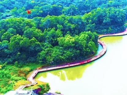 碧水漫道好风光！塘坑背水库群碧道（南风坳水库碧道）开放在即 
