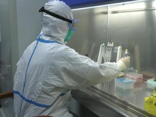 莆田发现两例境外返莆新冠病毒核酸检测阳性人员