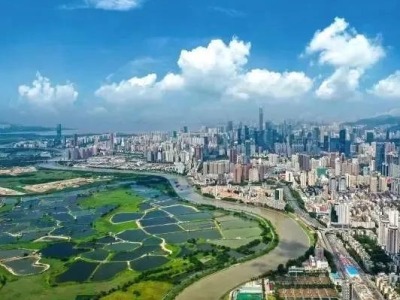 广东通报第三季度政府网站检查情况 深圳等17个地市合格率达100%