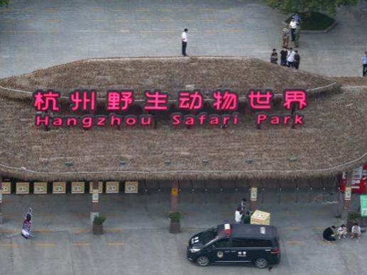 杭州野生动物世界金钱豹逃脱重大责任案一审宣判，6人获刑