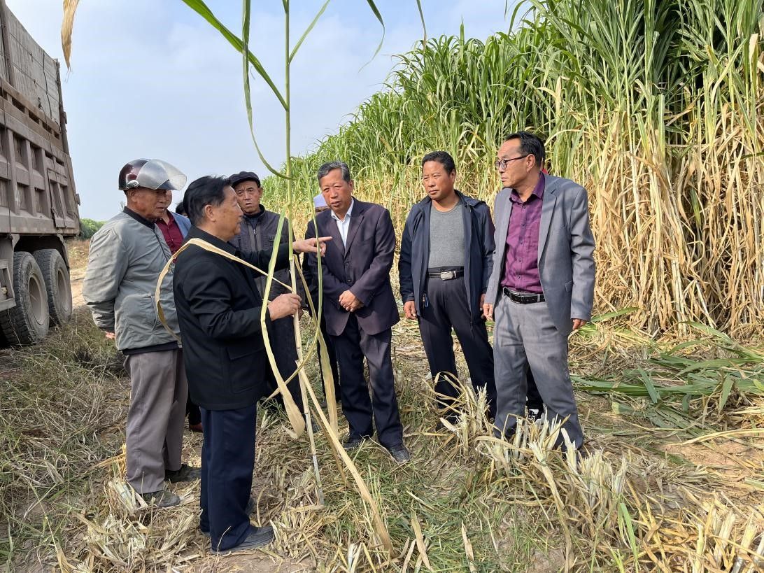 总书记提到的《山海情》原型林占熺，他是谁？