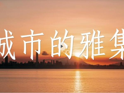11月的深圳 让多元交流点亮双城未来