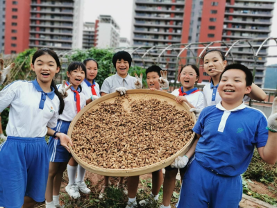 正在征求意见！深圳中小学拟设劳动教育必修课，到2025年还要实现这个目标