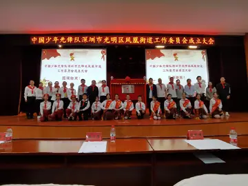 星星点亮火炬，红领巾心向党！凤凰街道成立少工委