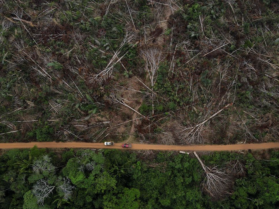 亚马孙雨林砍伐量创15年新高，巴西承诺2030年实现森林零砍伐