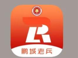 建设鹏城老兵APP 深圳实现退役军人服务“一网通”