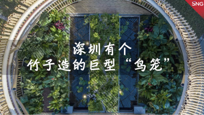 深圳花展里的大鸟笼被市民热捧
