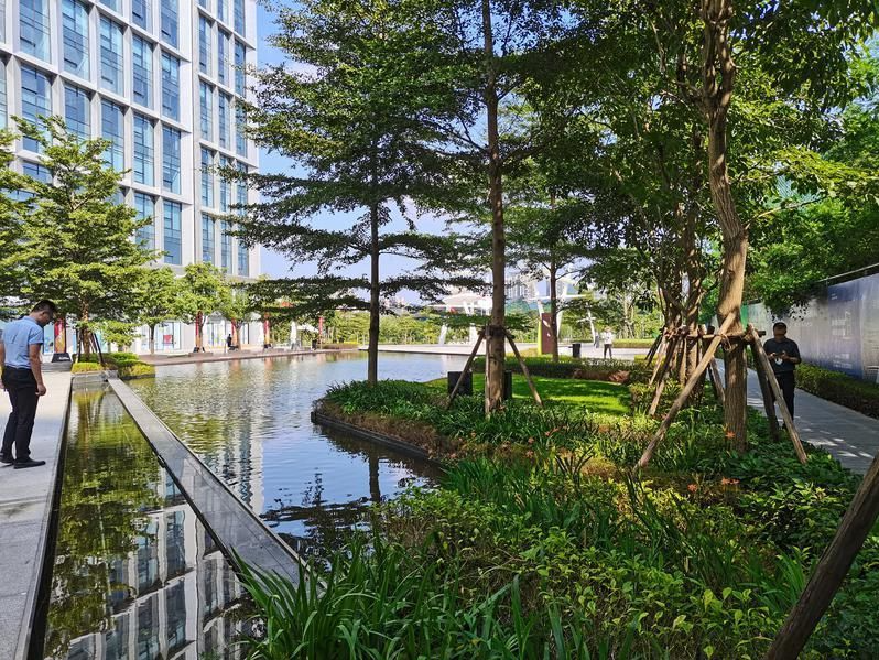 优美又节能！龙岗区持续推进海绵城市建设，涌现一批示范项目