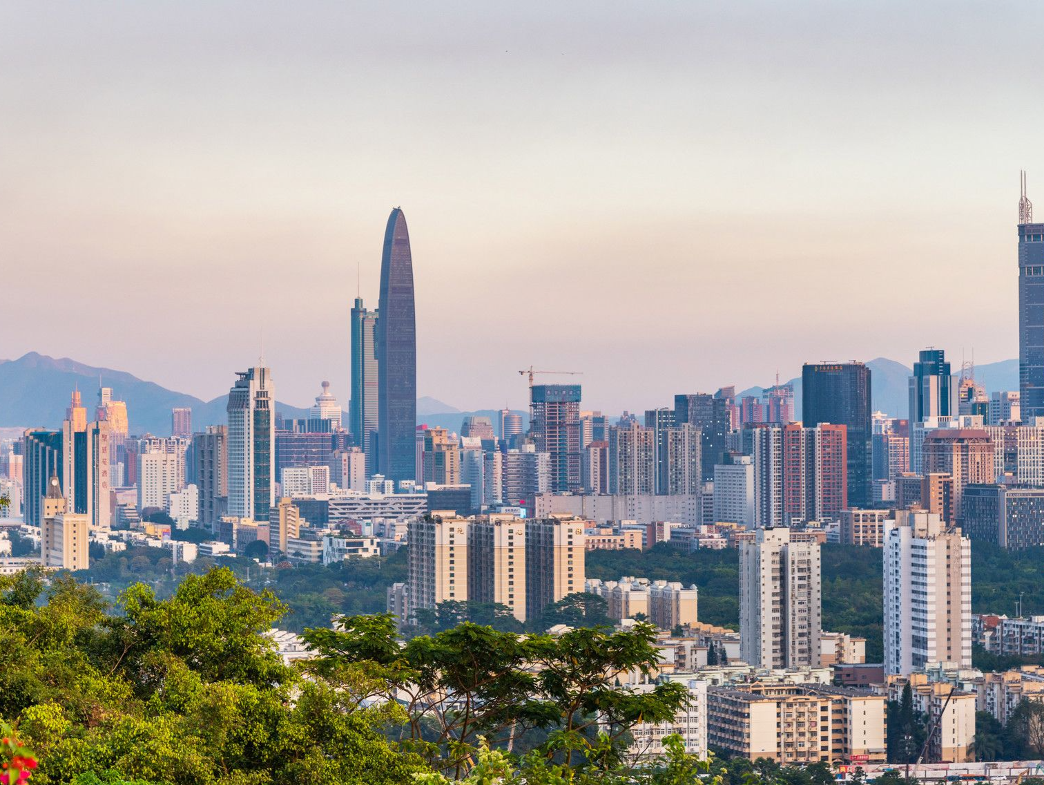 373.1万户！深圳商事主体总量继续保持全国大中城市首位，战略性新兴产业同比骤增近八成