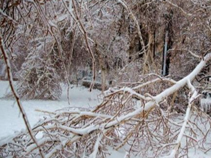 全国大部气温缓慢回升、东北等强降雪减弱，13日冷空气再袭