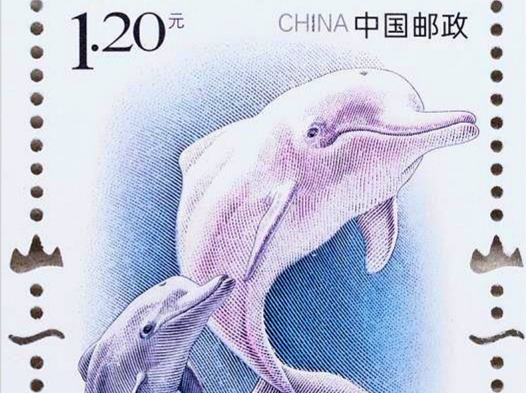 一批国家保护动物上邮票 中华白海豚主题邮票将发行