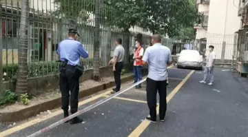 翠竹街道一业主私自伐树 被予以行政处罚  