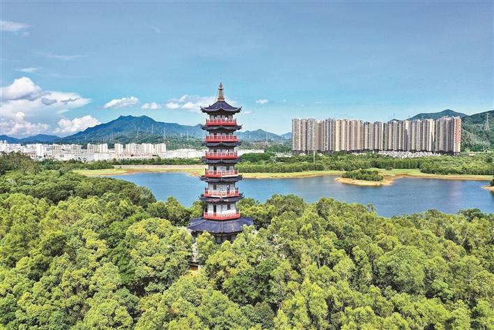 奔腾奋进铸辉煌，乘势而上创未来！马峦街道创新基层治理让群众生活更美好