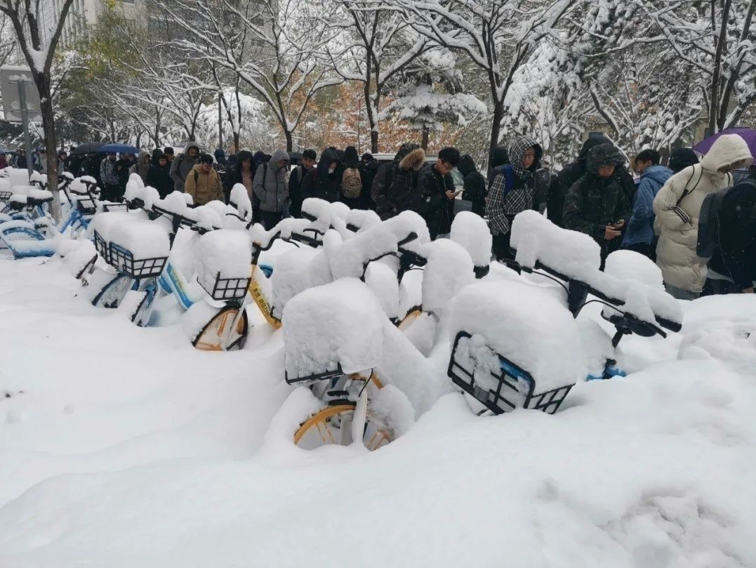 东北雪有多厚？图亮了！南方孩子请进