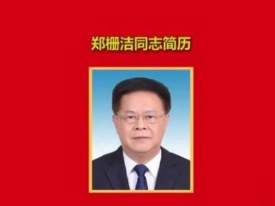 新一届安徽省委常委产生，12人简历公布