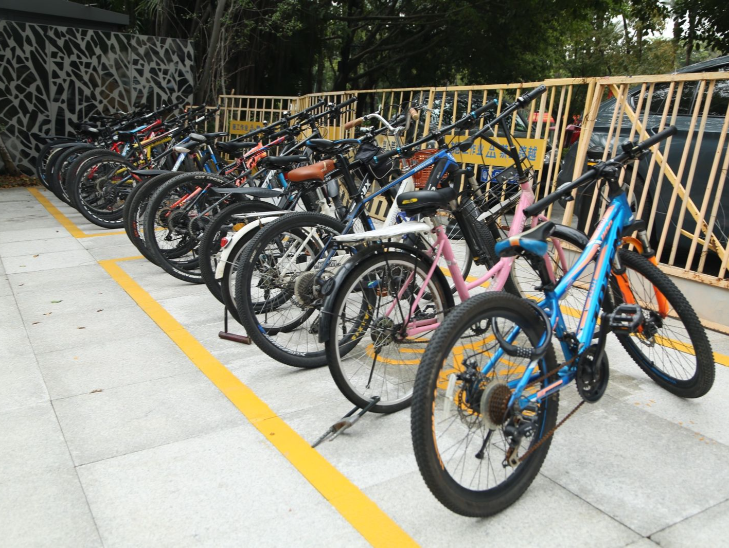 让自行车“有归宿”！龙外（集团）万科城学校助力文明城市创建