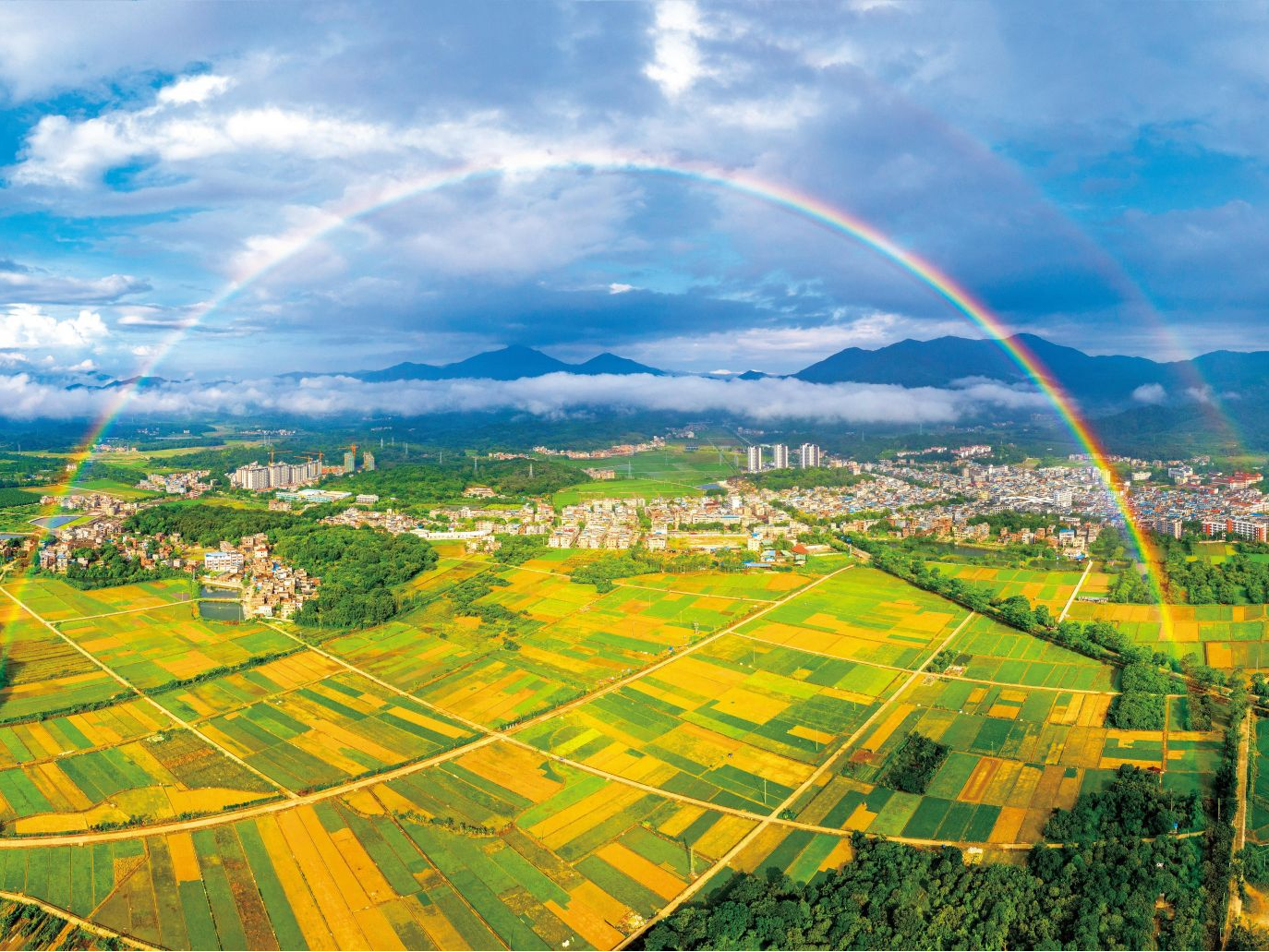 全国首批创建农业现代化示范区公示 广州增城入选