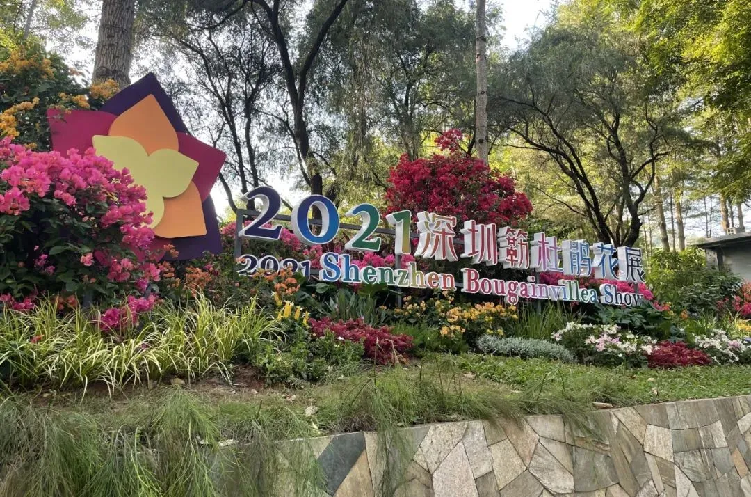 明天起，深圳这个地方人车激增！这几条路全部禁止停车