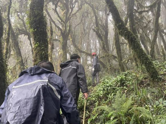 资深地质专家谈调查员哀牢山遇难：一支精锐的地质调查队，为何装备如此“简陋”？