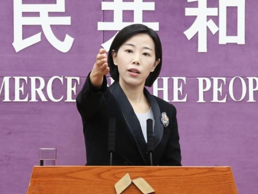 商务部：新增徐州、佛山等6个城市为中国服务外包示范城市