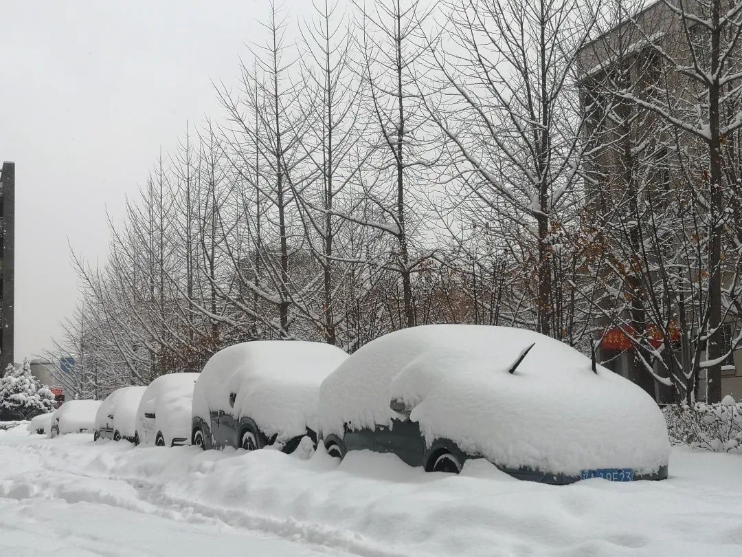 东北雪有多厚图亮了南方孩子请进