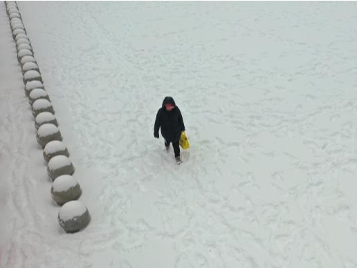 因极端灾害性天气，沈阳9日全市各级各类学校不到校上课