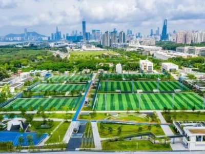 深圳成立全国足球发展重点城市建设工作领导小组，市长任组长