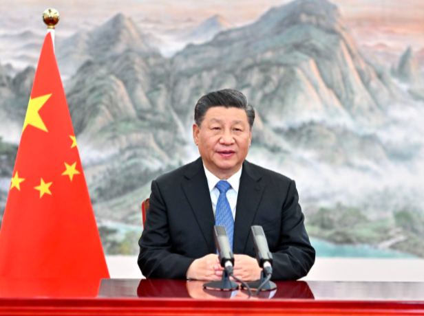 镜观·领航｜进博会上的开放最强音