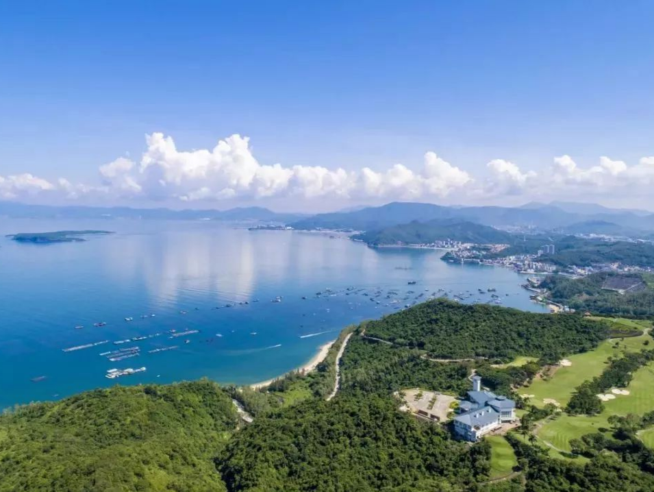助推集体经济转型 大鹏新区股份合作公司​“英才计划”首批学员毕业