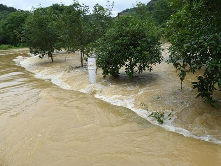 应急部：今年洪涝灾害已致5980万人受灾，590人死亡失踪