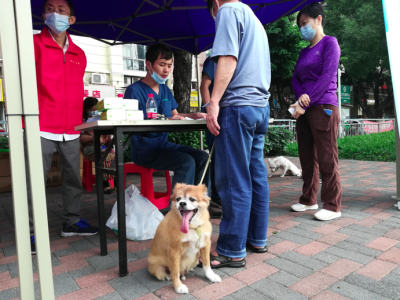 水贝社区开展文明养犬宣传活动
