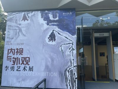 李勇艺术展在深圳美术馆开展