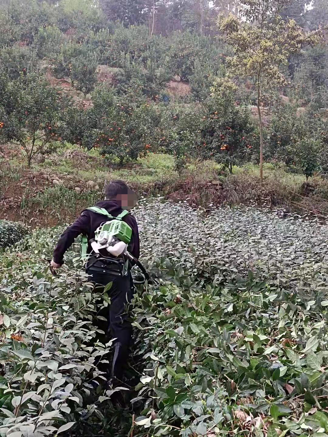 第一次收到儿子的信，在深圳强戒二所戒毒的他哭了