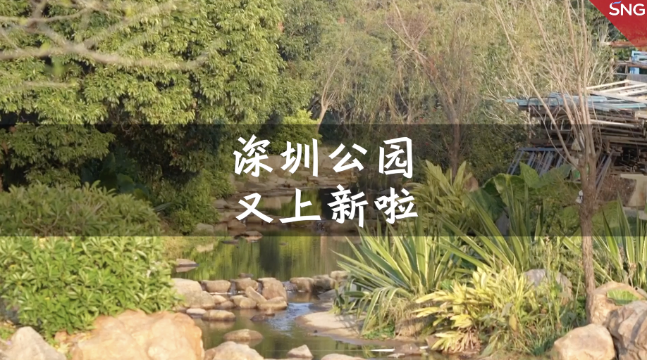 深圳公园又上新啦