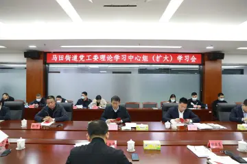 马田街道党工委专题学习《党章》            