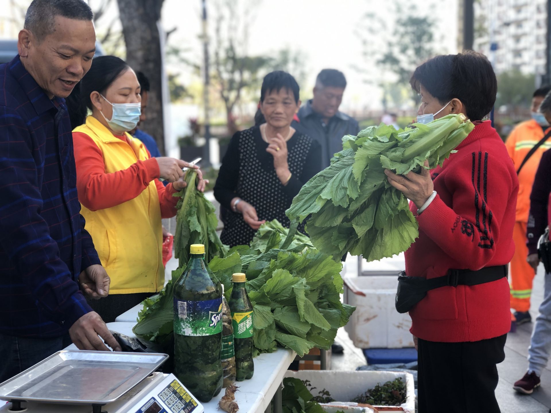 为残疾人提供交流互助平台 新湖街道开展蔬菜义卖活动