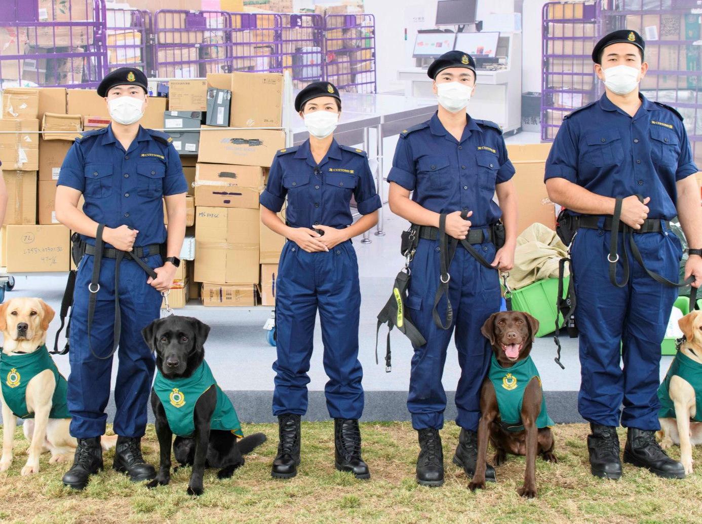 香港海关成立首支枪械搜查犬队