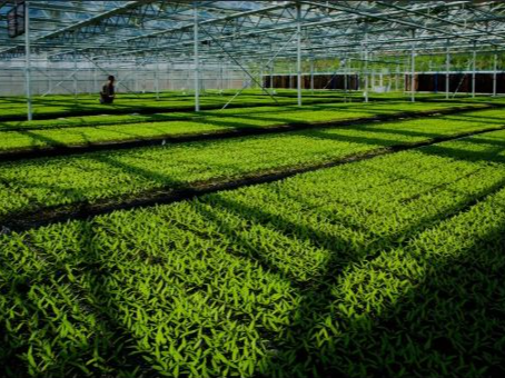 深圳8项农业技术推广项目分获2020年广东省农业技术推广奖