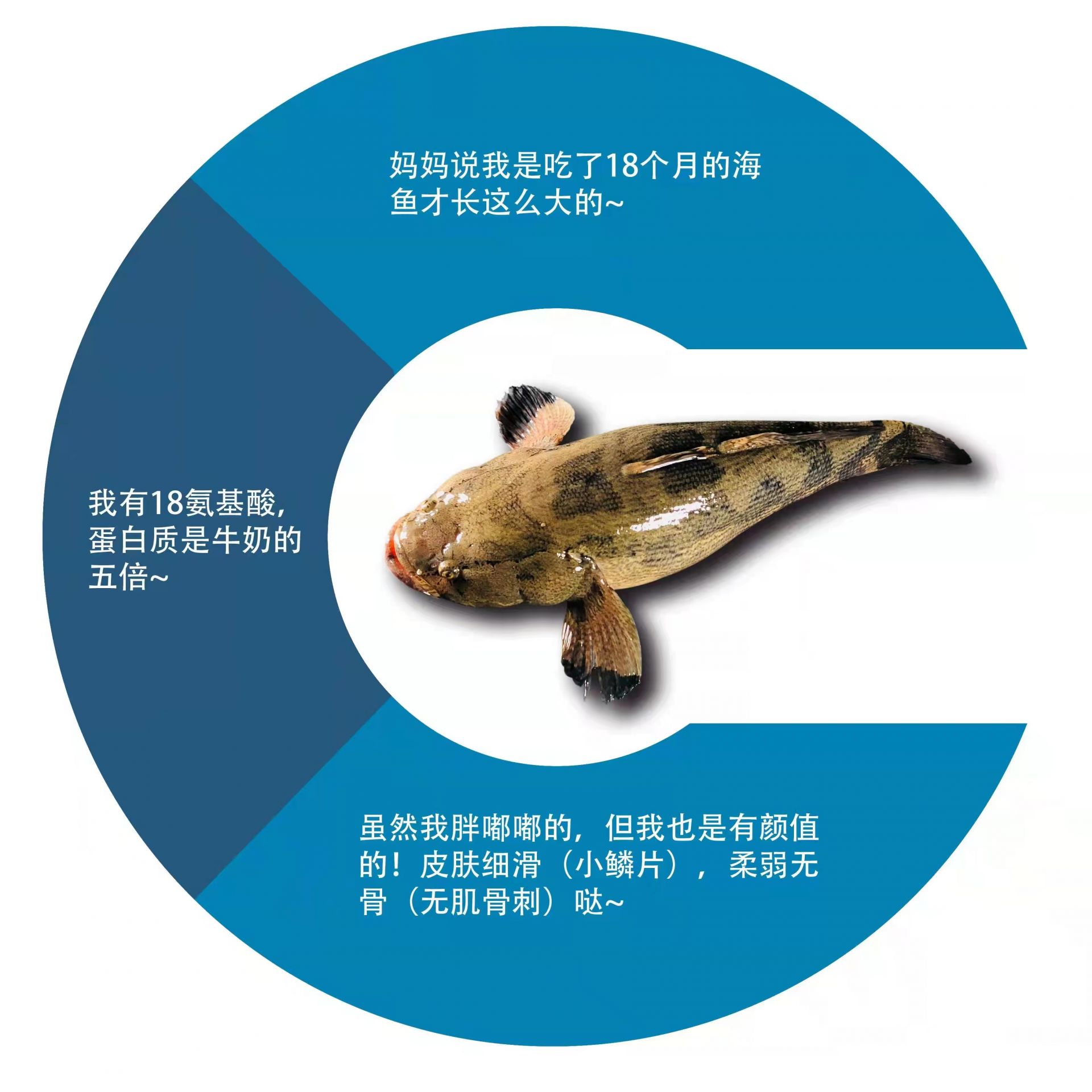 鱼离开水也能活！东莞“智慧渔仓引领者”项目获全国奖