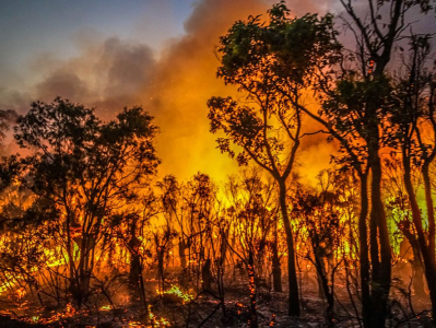澳大利亚遭双重自然灾害夹击：西部火灾东部洪灾