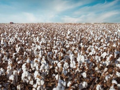 新疆棉纺织企业劳动者驳斥“强迫劳动”谎言谬论