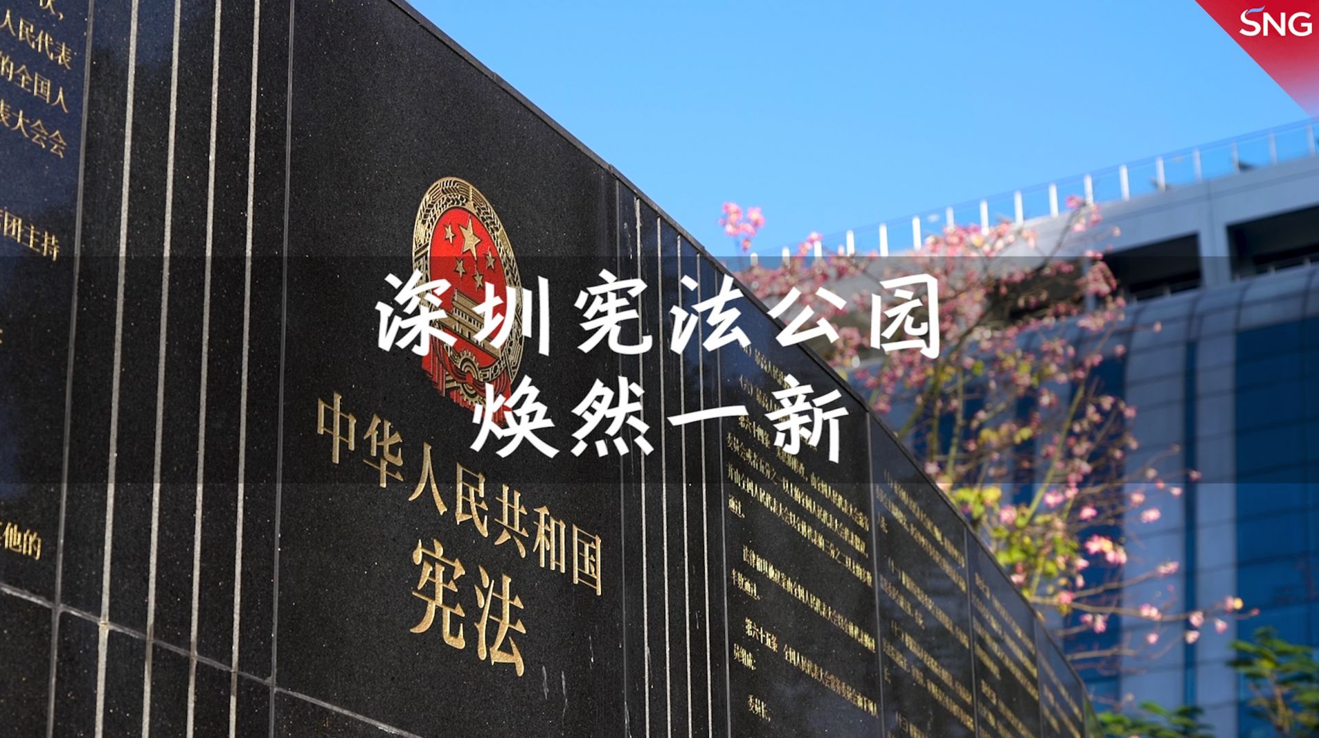 到深圳公园体验沉浸式普法