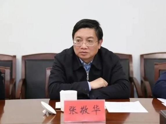 江苏省委原副书记张敬华接受审查调查