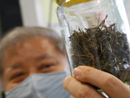 传统草药在东南亚国家受追捧，对于防治新冠作用如何？