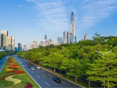 深圳又拿第一！这次是2021中国绿色建筑发展竞争力比拼
