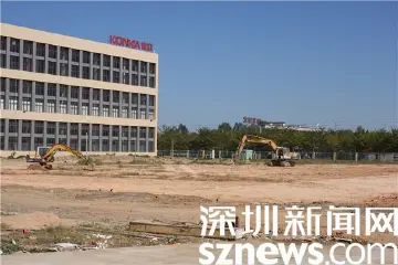帮到“点子” 扶到“关键” 罗湖奋力描绘乡村振兴幸福画卷