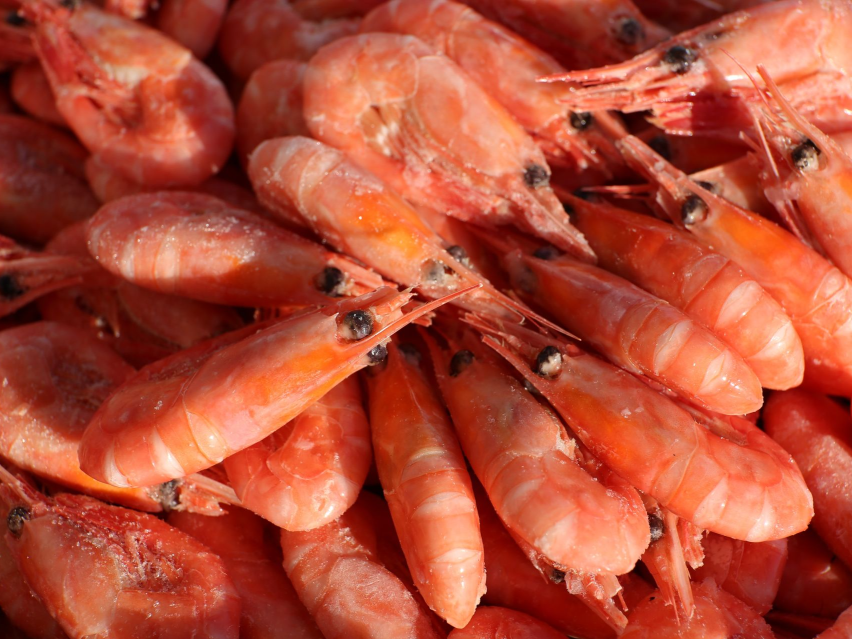 哈尔滨：这些地方所售北极甜虾存涉疫风险，原地封存