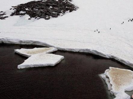 南极洲“末日冰川”关键冰架或在5年内坍塌