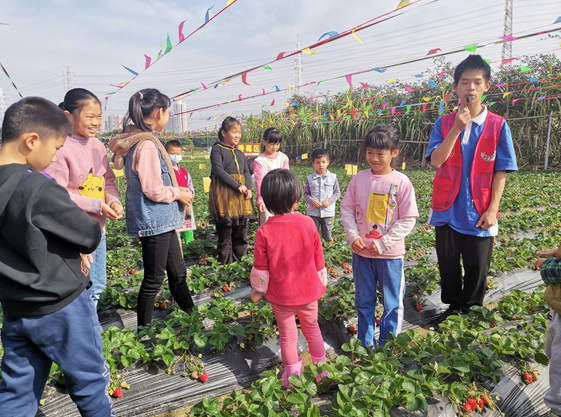 石井街道石井社区：菜农子女化身“导游”，带领社区儿童参观菜园