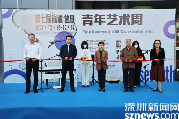 艺术展、光影秀、潮流市集……“创意十二月”盐田分会场开幕